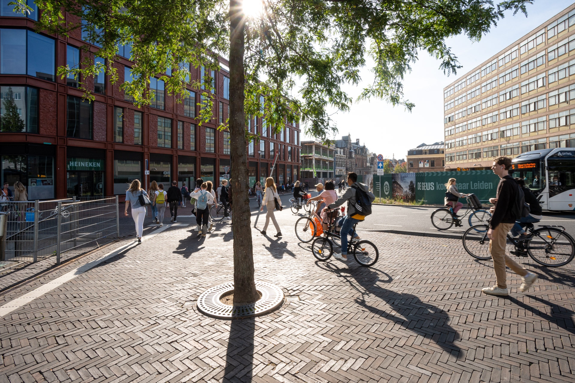 Mensen lopen en fietsen op een zonovergoten kruispunt van straten in de stad. Op de voorgrond staat een boom en op de achtergrond moderne gebouwen, een bus en winkels. Zonlicht valt door de takken en werpt schaduwen.