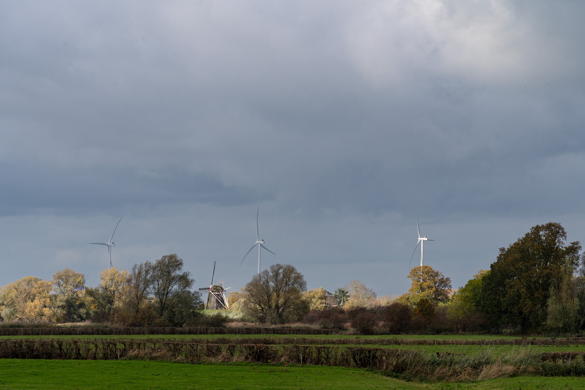 Een landelijk landschap met groene velden, herfstbomen, drie moderne windturbines en een traditionele windmolen onder een bewolkte hemel.