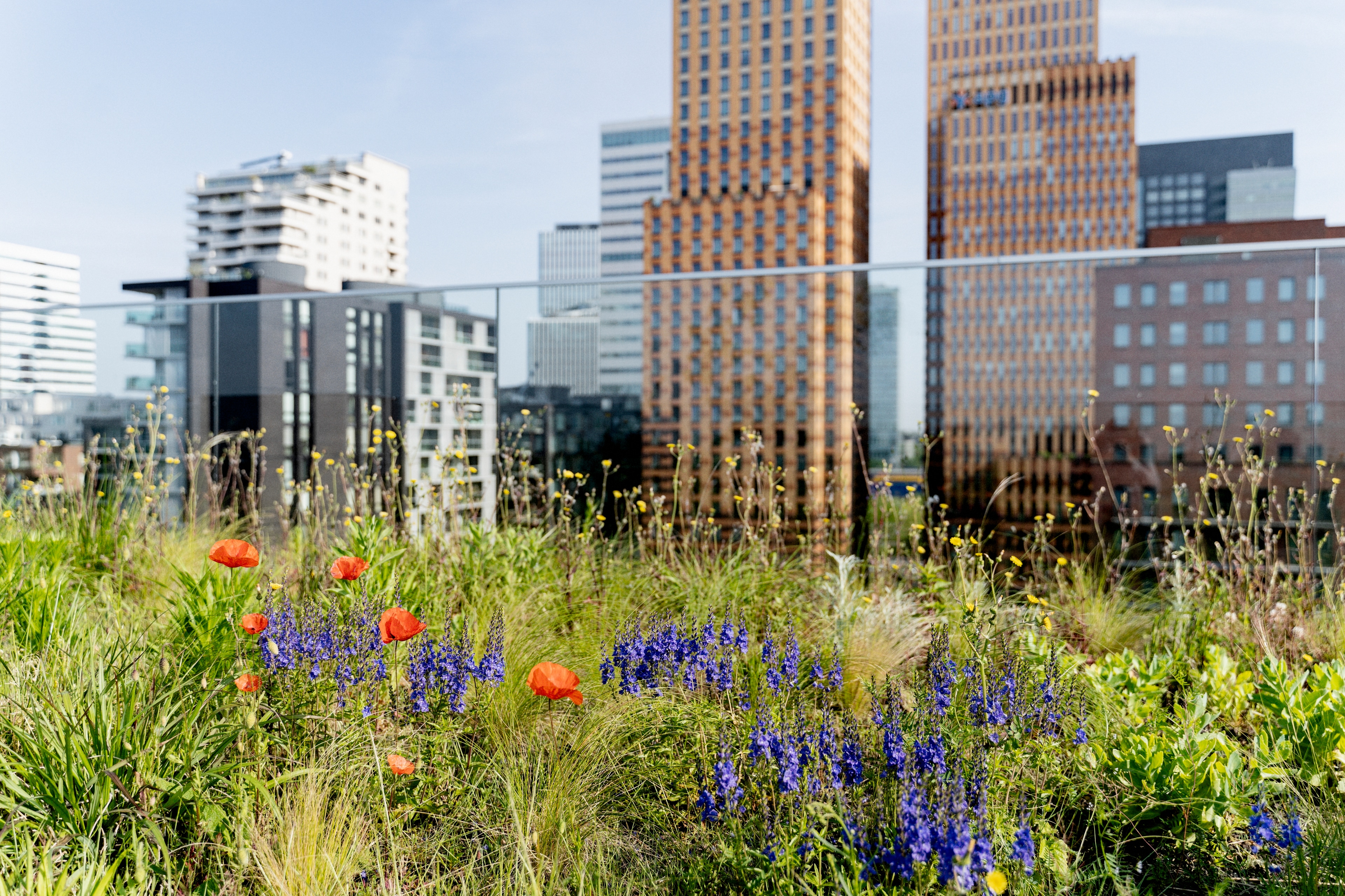 Business kantoren bloemen