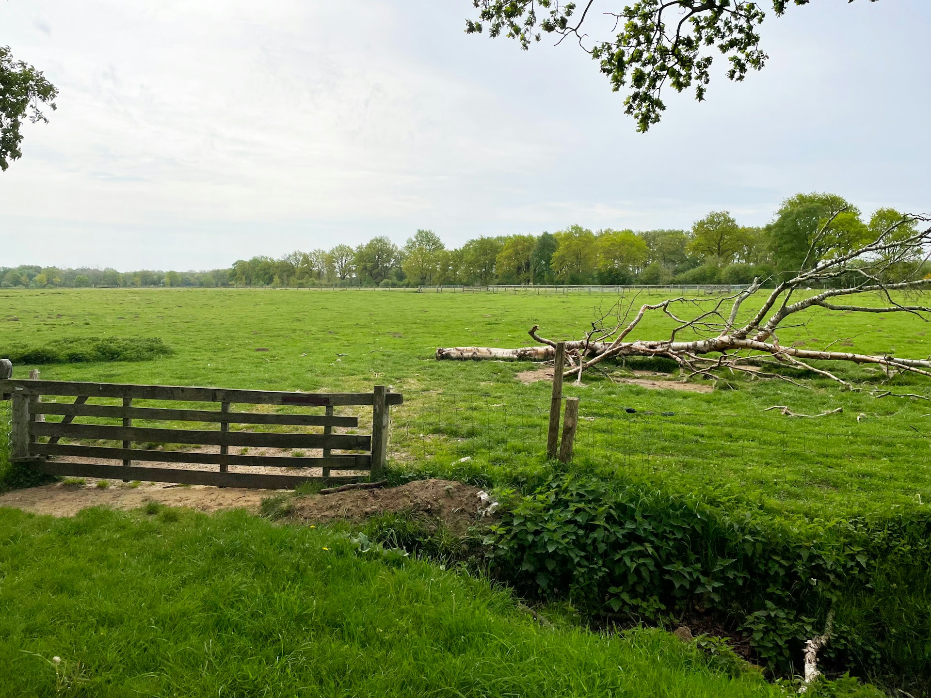 Een houten hek staat open in een grasveld omzoomd door bomen, onder een gedeeltelijk bewolkte hemel. Het landschap strekt zich in de verte uit met verspreide struiken en landbouwgrond.