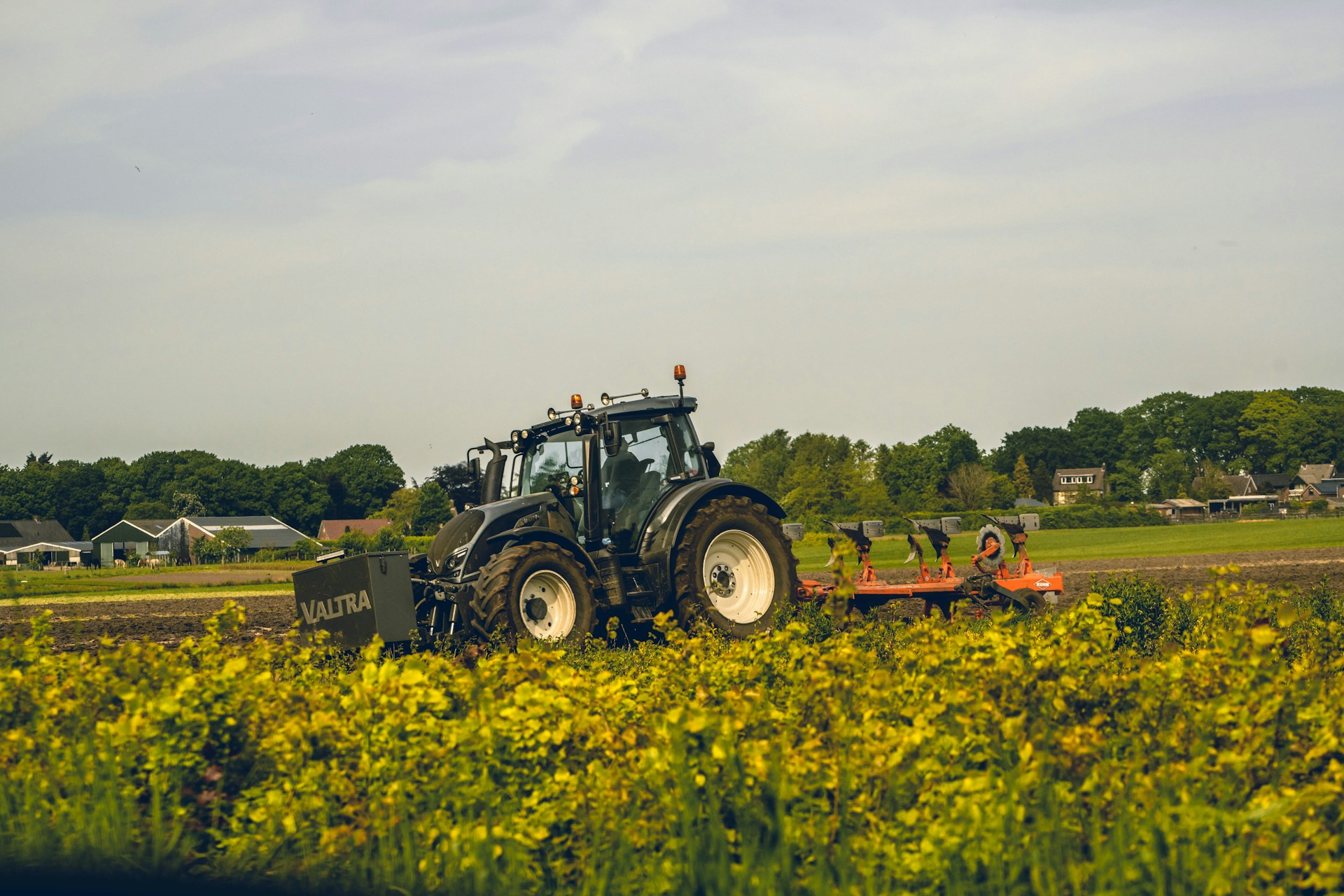Een tractor rijdt door een veld met gele bloemen onder een bewolkte hemel, met bomen en gebouwen zichtbaar op de achtergrond.