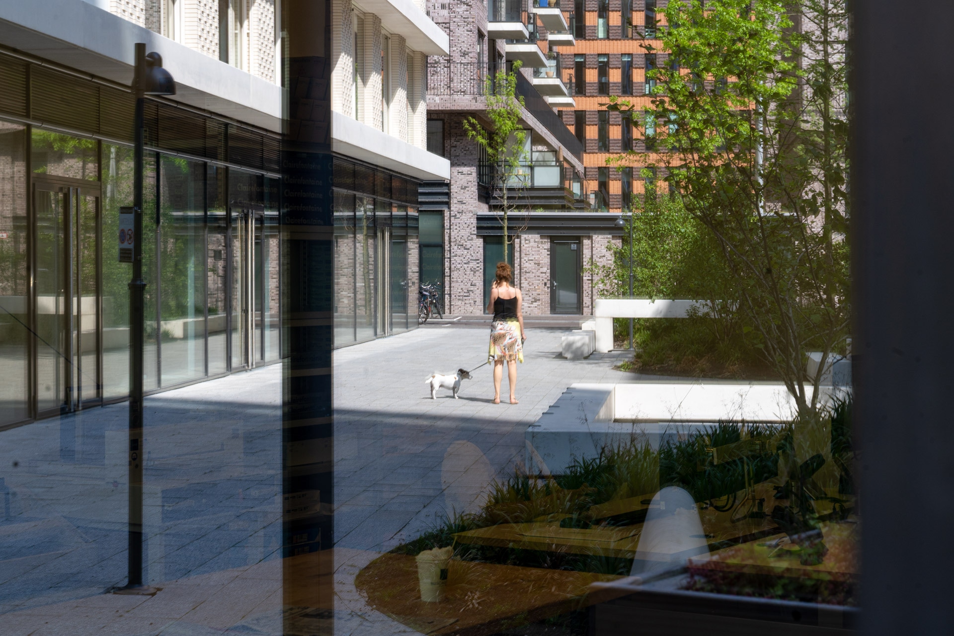 Een vrouw in zomerkleding laat een kleine witte hond uit op een moderne binnenplaats met glazen gebouwen, groen en bankjes op een zonnige dag.