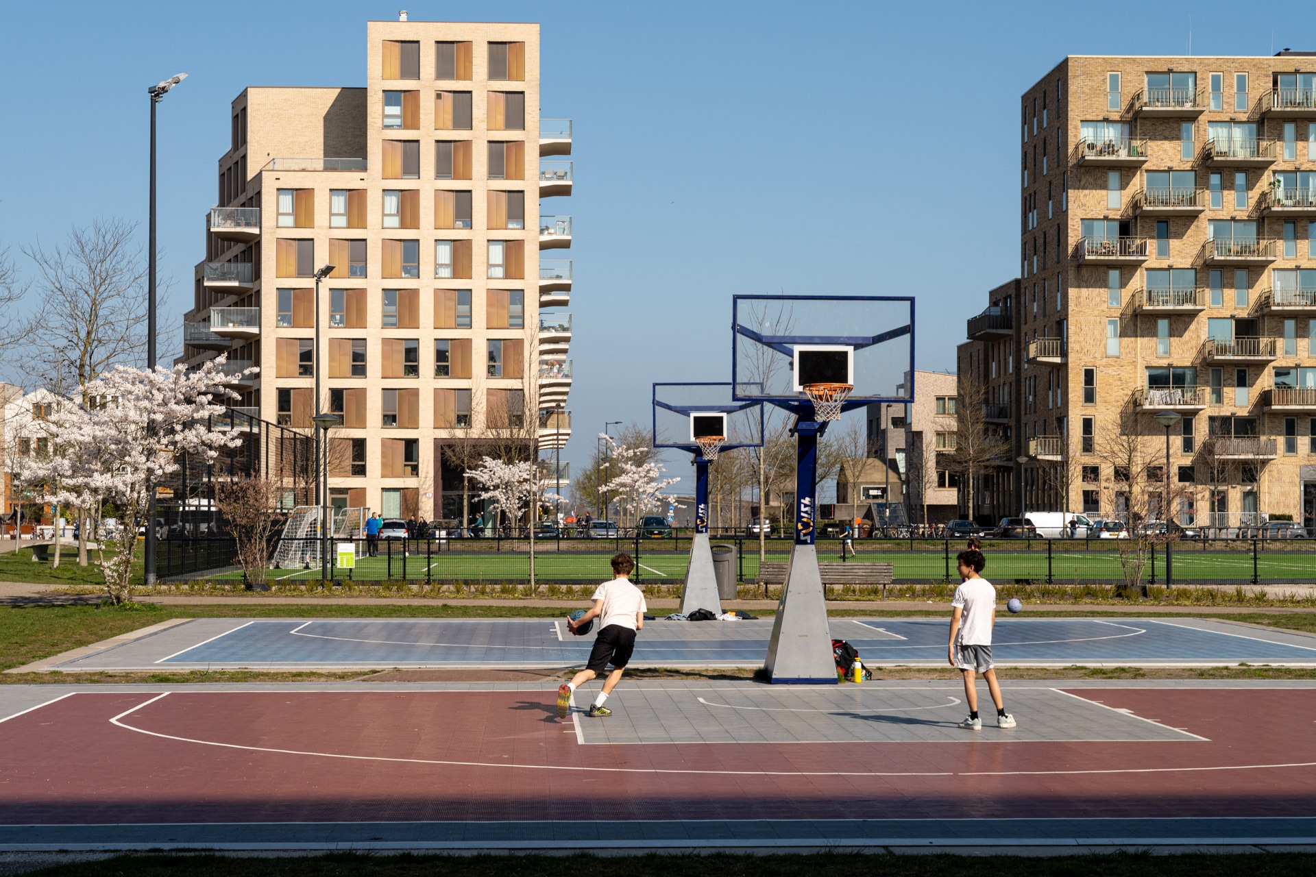Twee mensen spelen basketbal op een buitenbaan in een park, met moderne flatgebouwen en bloeiende bomen op de achtergrond op een heldere, zonnige dag.