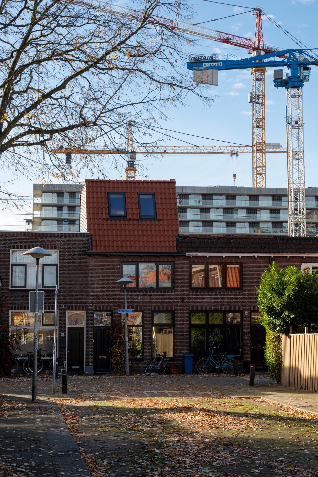 Een rij bakstenen herenhuizen met rode daken staat op de voorgrond, terwijl op de achtergrond moderne flatgebouwen en een aantal hoge bouwkranen oprijzen onder een blauwe hemel. Herfstbladeren bedekken de grond.