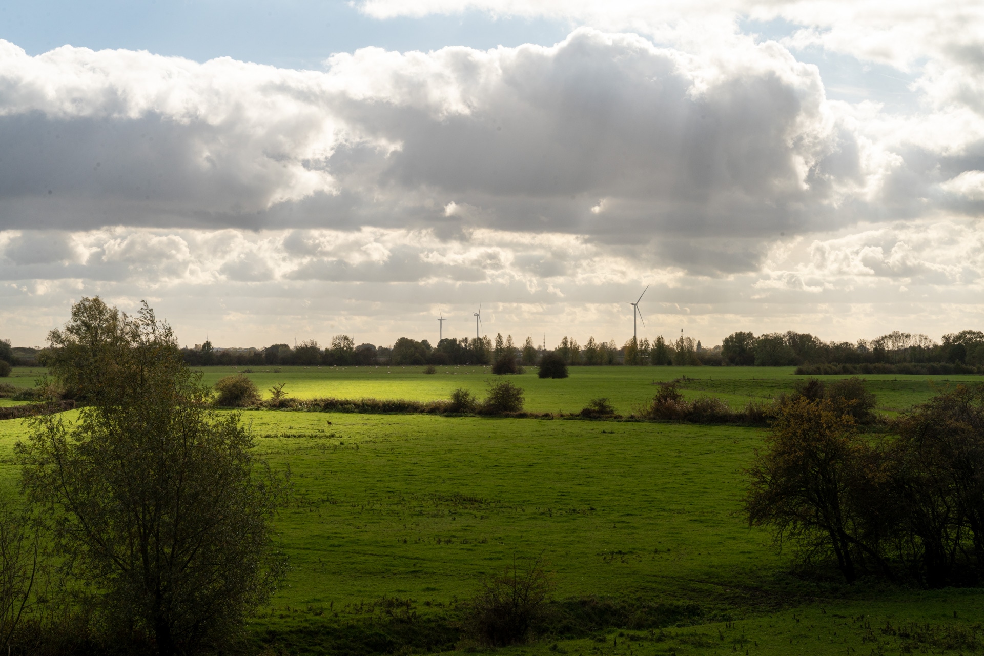 Een groen veld onder een gedeeltelijk bewolkte hemel, met zonlicht dat door de wolken breekt. Windmolens zijn zichtbaar in de verte en bomen omzomen het veld.