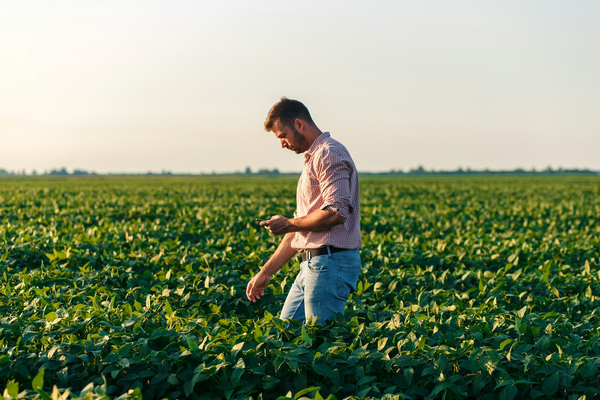 Een persoon staat in een groen veld en kijkt neer op de planten. Het beeld is digitaal vervormd met vervormde lijnen en gefragmenteerde kleuren, waardoor de scène gedeeltelijk aan het oog onttrokken wordt.