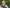 20250626-Foto-Lana-Witwassen-podcast