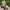 20250626-Foto-Lana-Witwassen-podcast