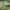20250422-foto-recreatiewoningpark