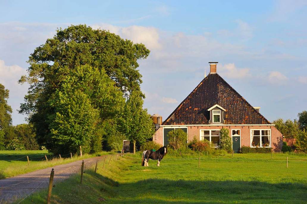 boerderij 12