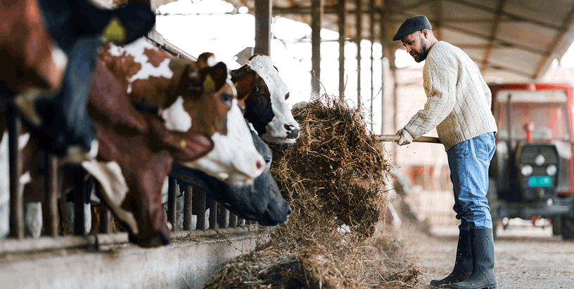 Websiteheader 1200X606px A&L Onteigening