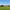 Header Agrarisch & Landelijk