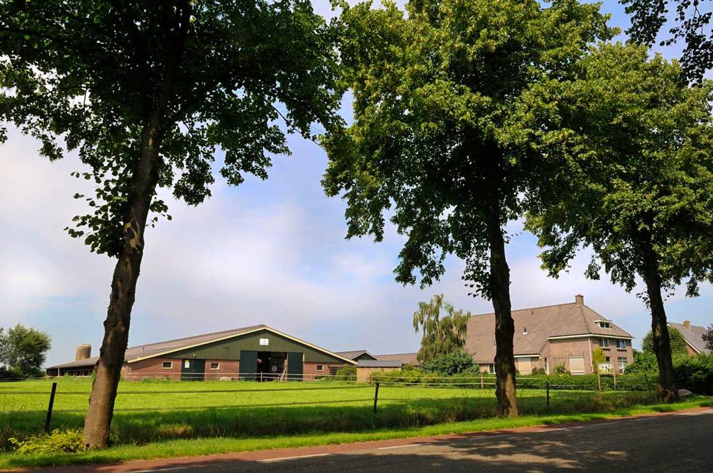 Boerderij 1