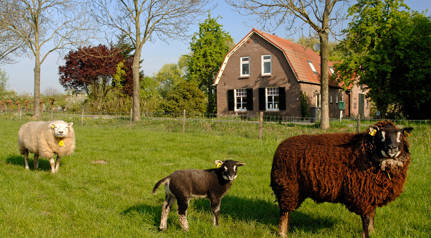 Woonboerderij 1