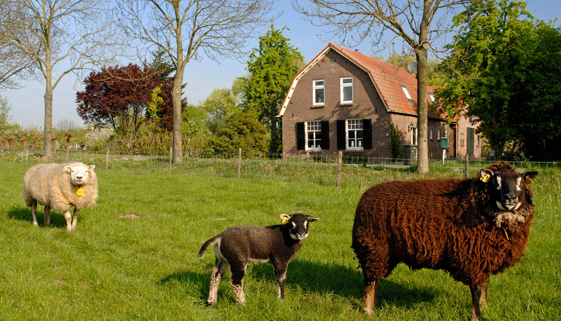 Woonboerderij 1
