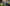 Landingspagina_Senioren - V1  1200x606px  