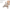 NVM_AL_2024_akkerbouwgrond (002)