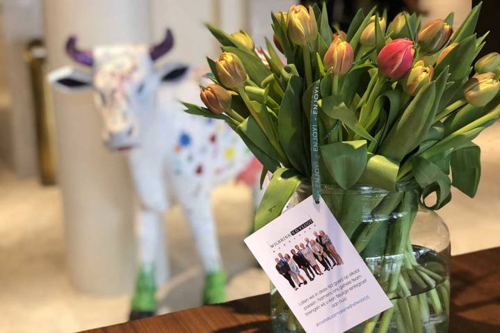 Tulpen2
