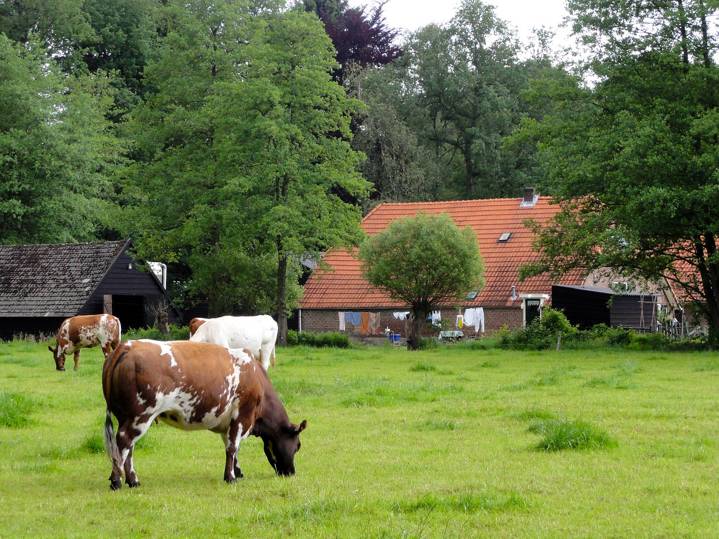 Boerderij 5