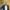 NVM-portret-Steve-Evers-vz