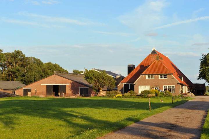 Boerderij 7